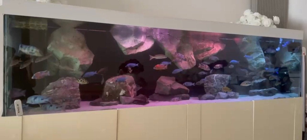 Aquarium breuksteen (decoratie) - 30/50kg, Dieren en Toebehoren, Ophalen, Zo goed als nieuw, Decoratie
