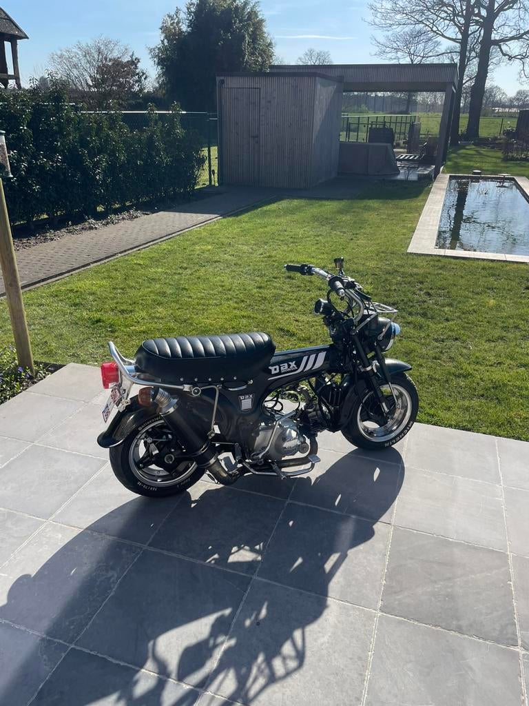 Honda skyteam dax 50cc, Fietsen en Brommers, Brommers | Honda, Nieuw, Klasse B (45 km/u), Ophalen of Verzenden