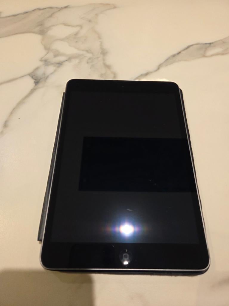 Apple iPad Mini 2, Verzenden, Apple iPad