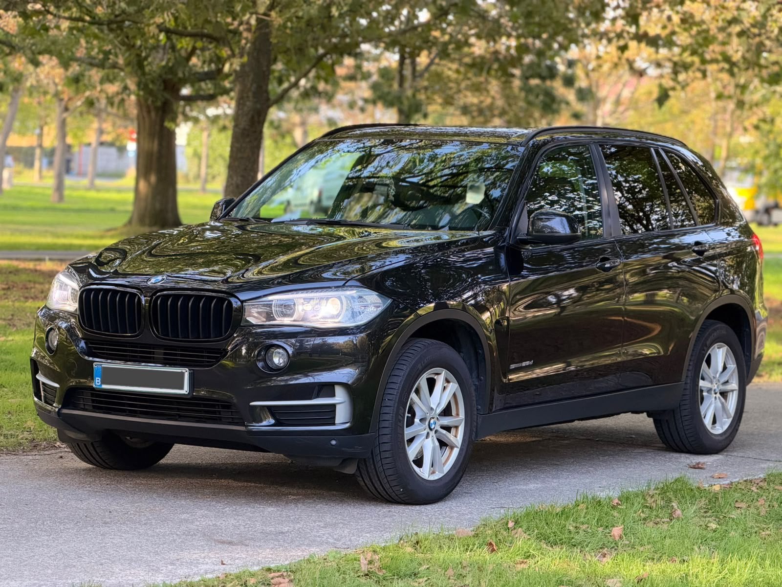 Bmw X5 2014 2.0 280.000km diesel Start rijd goed, Auto's, X5, Diesel, Particulier, Te koop