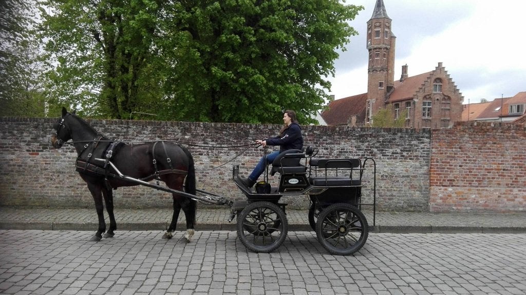 Marathonwagen, enkel- en dubbelspan merk Clever, Dieren en Toebehoren, Gebruikt, Marathonwagen, Paard of Pony