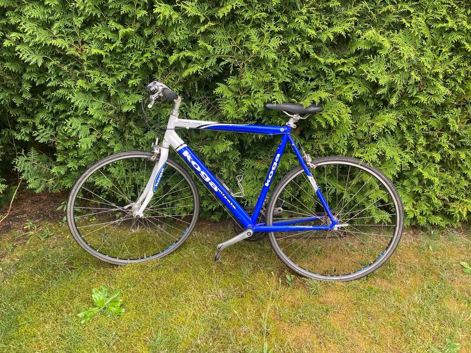 Koga fiets, Ophalen, Gebruikt, Koga Miyata
