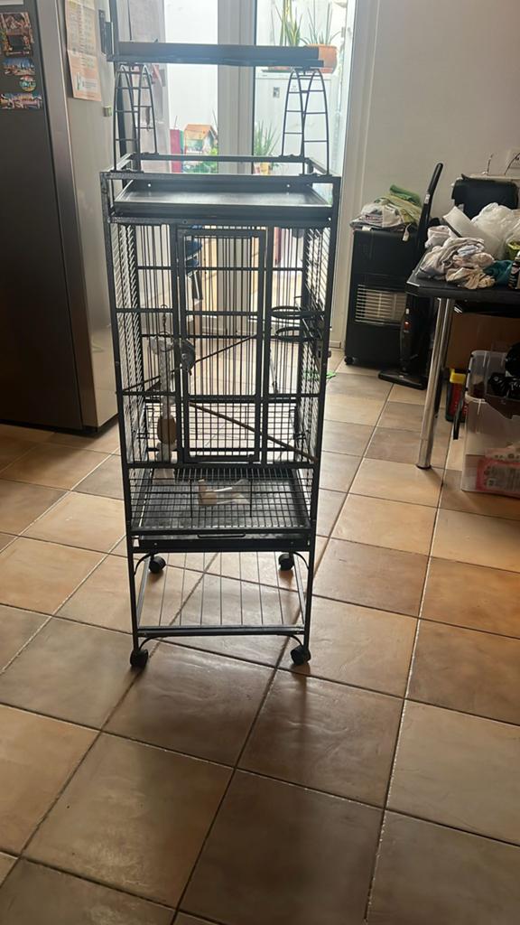 Papegaaikooi/ vogelkooi, Ophalen, Zo goed als nieuw, Vogelkooi