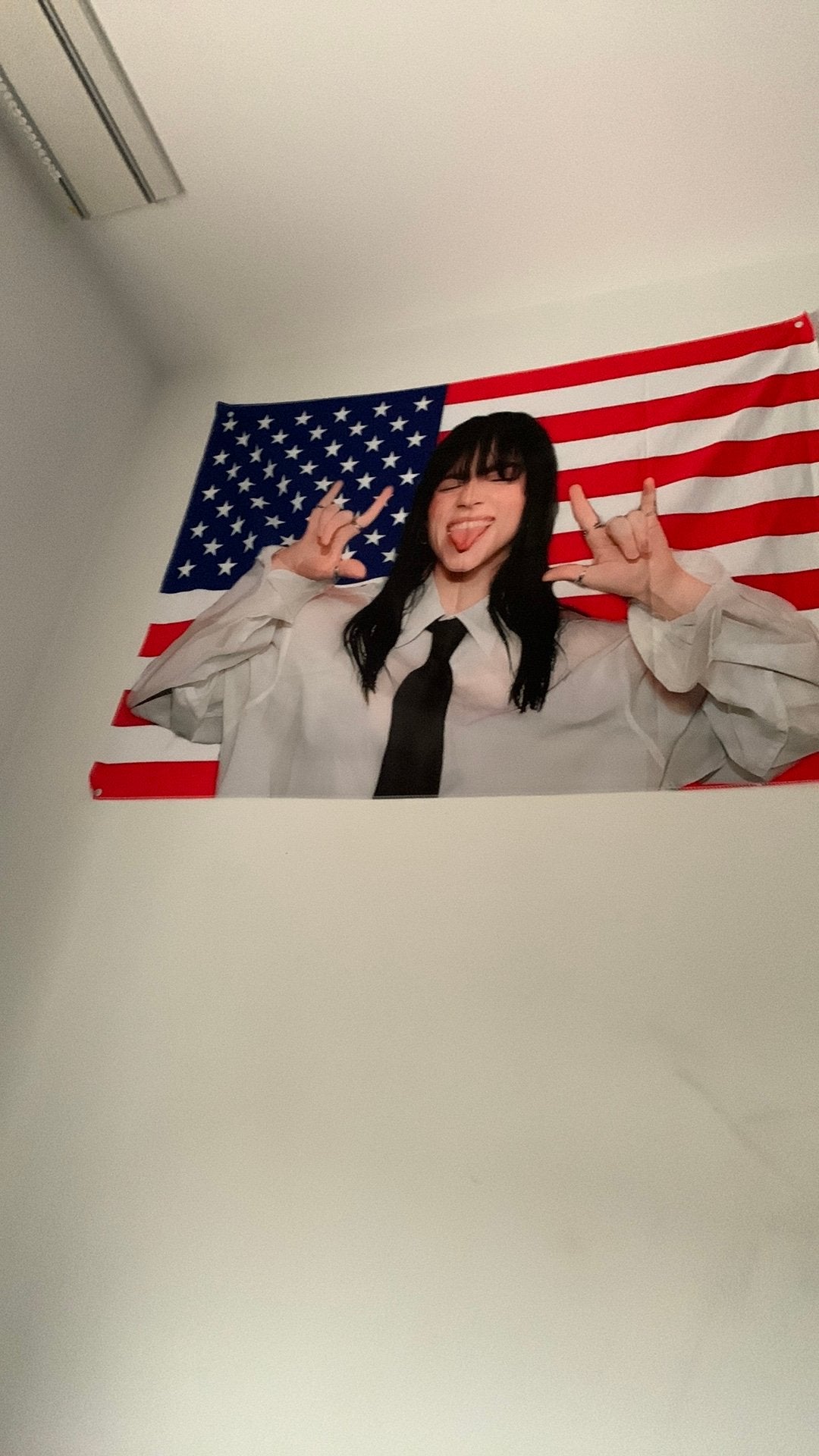 Billie Eilish Vlag, Divers, Drapeaux & Banderoles, Enlèvement, Comme neuf