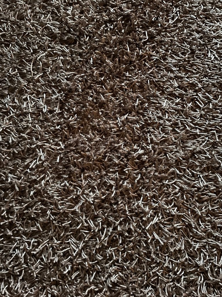 Niet-vliegend tapijt, Ophalen, Gebruikt, Bruin, 5 tot 10 m²