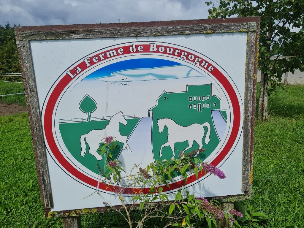 2 boxes se libèrent dans notre écurie..., Animaux & Accessoires, 4 chevaux ou poneys ou plus