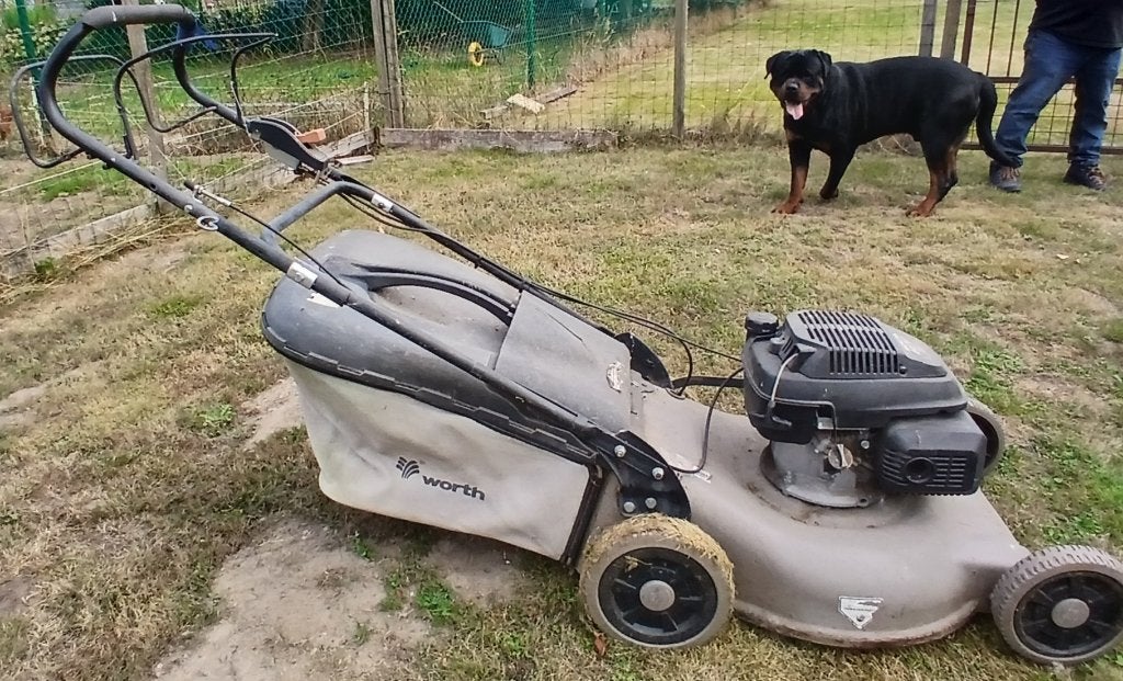 grasmaaier benzine, Honda, Tondeuses à gazon à essence, Enlèvement, Utilisé