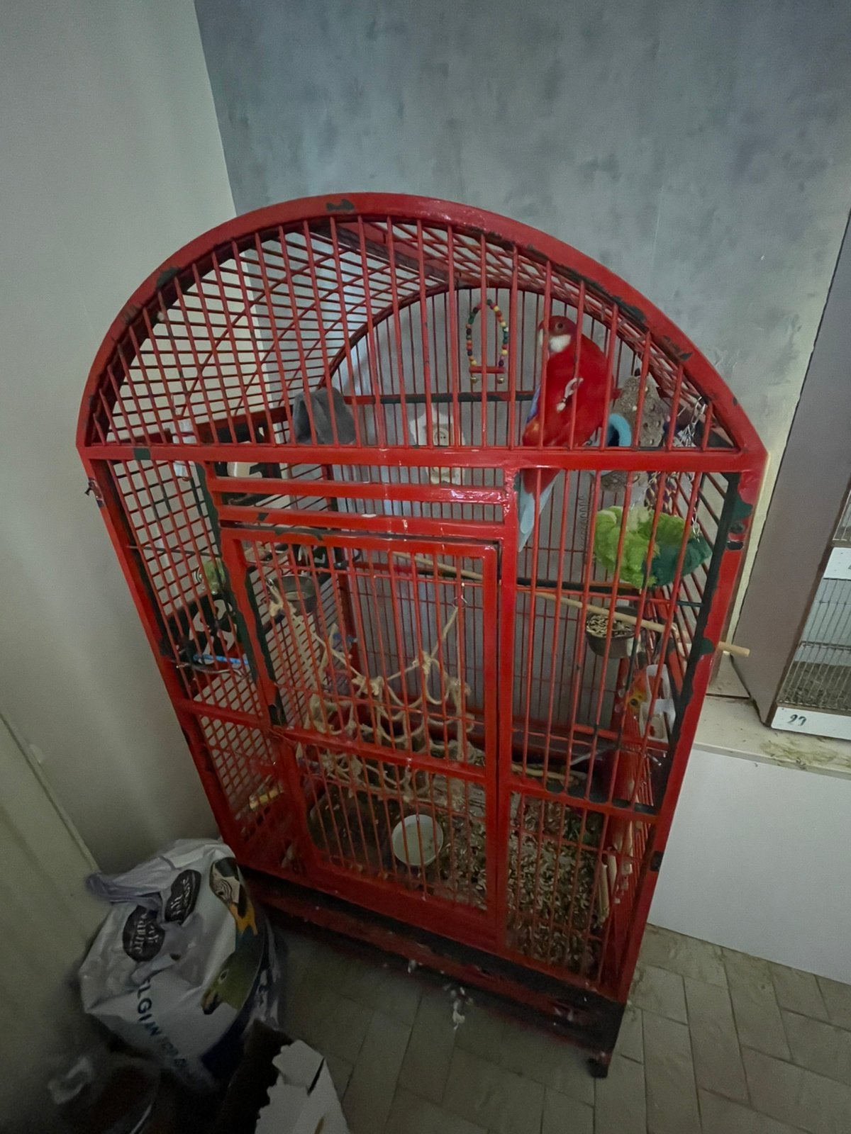 Vogel kooi, Enlèvement, Comme neuf, Cage à oiseaux