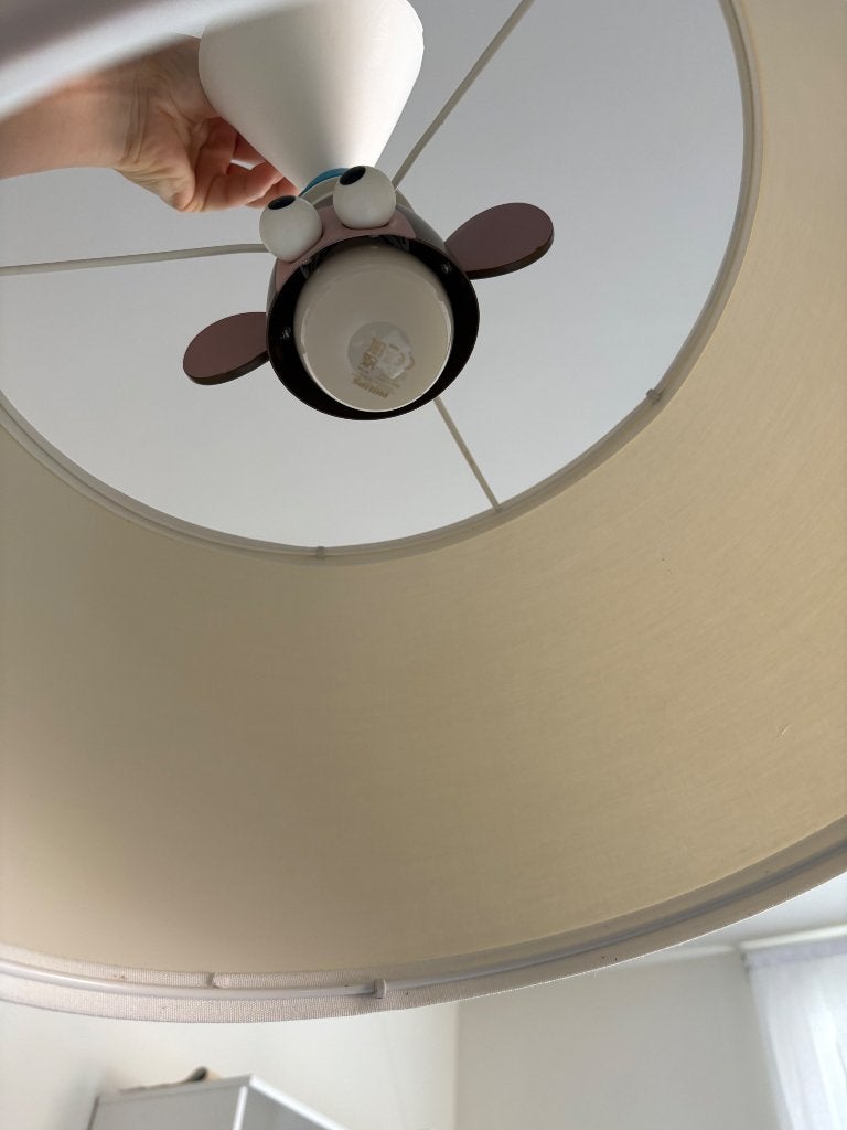 Plafondlamp, Enlèvement