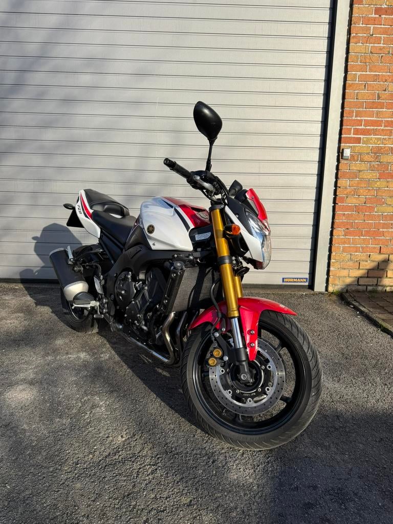 Yamaha fz8, Particulier