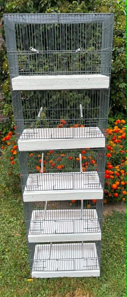 mooie vogelkooi, Ophalen, Vogelkooi