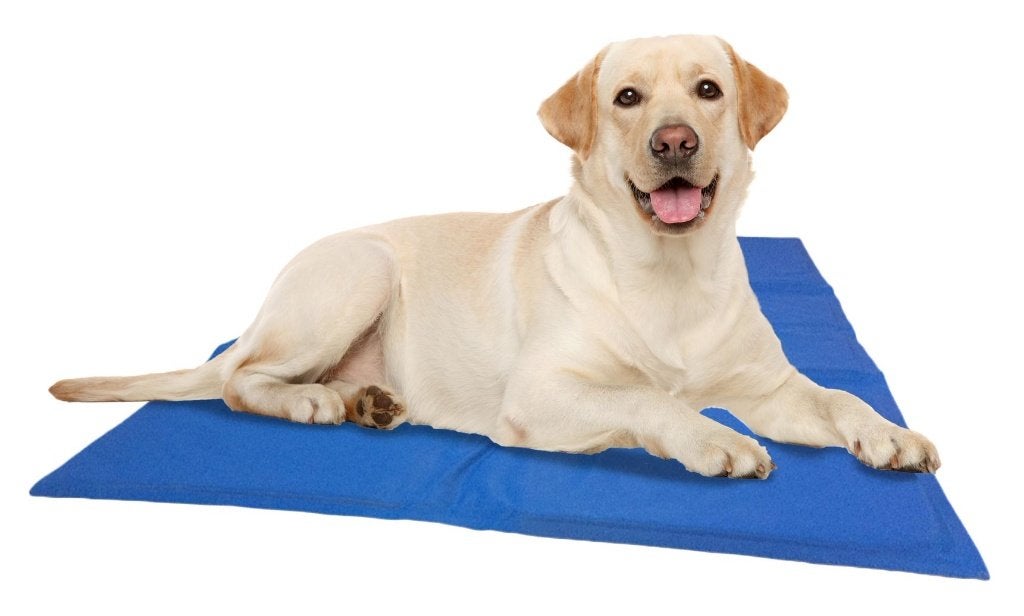 koelmat voor hond, kat, mens,... 5 euro of 3 stuks voor €10, Dieren en Toebehoren, Ophalen, Nieuw