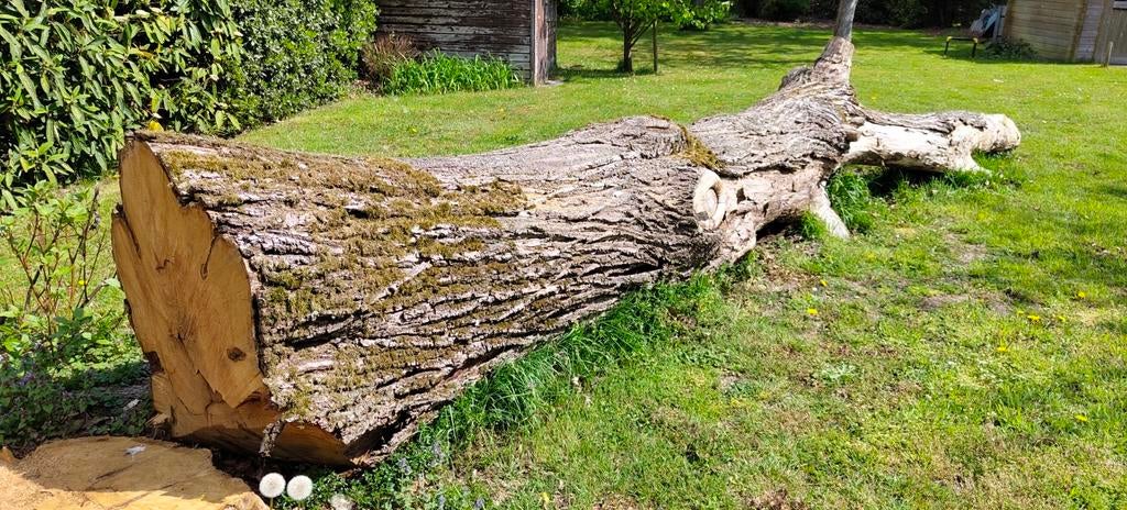 Tamme kastanje hout, Tuin en Terras, Ophalen