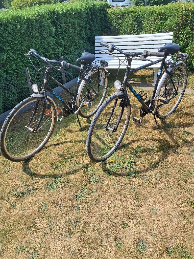 velo, Enlèvement