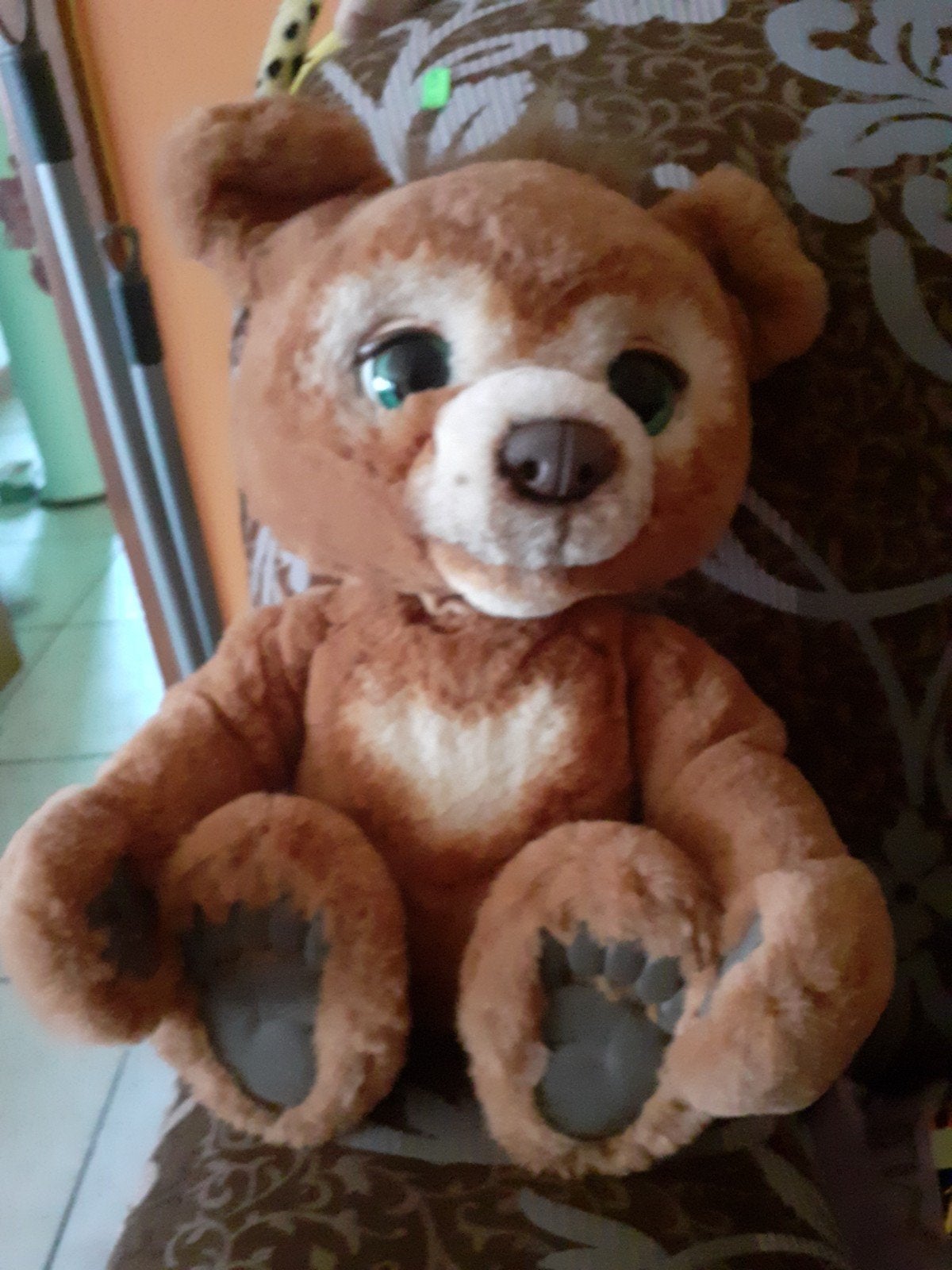 Ours interactif, Verzamelen, Beren en Cherished Teddies, Ophalen
