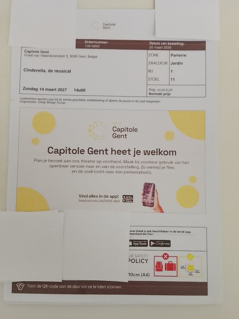 Ticket Cinderella de musical ,ook op ticketswap te koop, Tickets en Kaartjes, Theater | Musical, Eén persoon, Maart