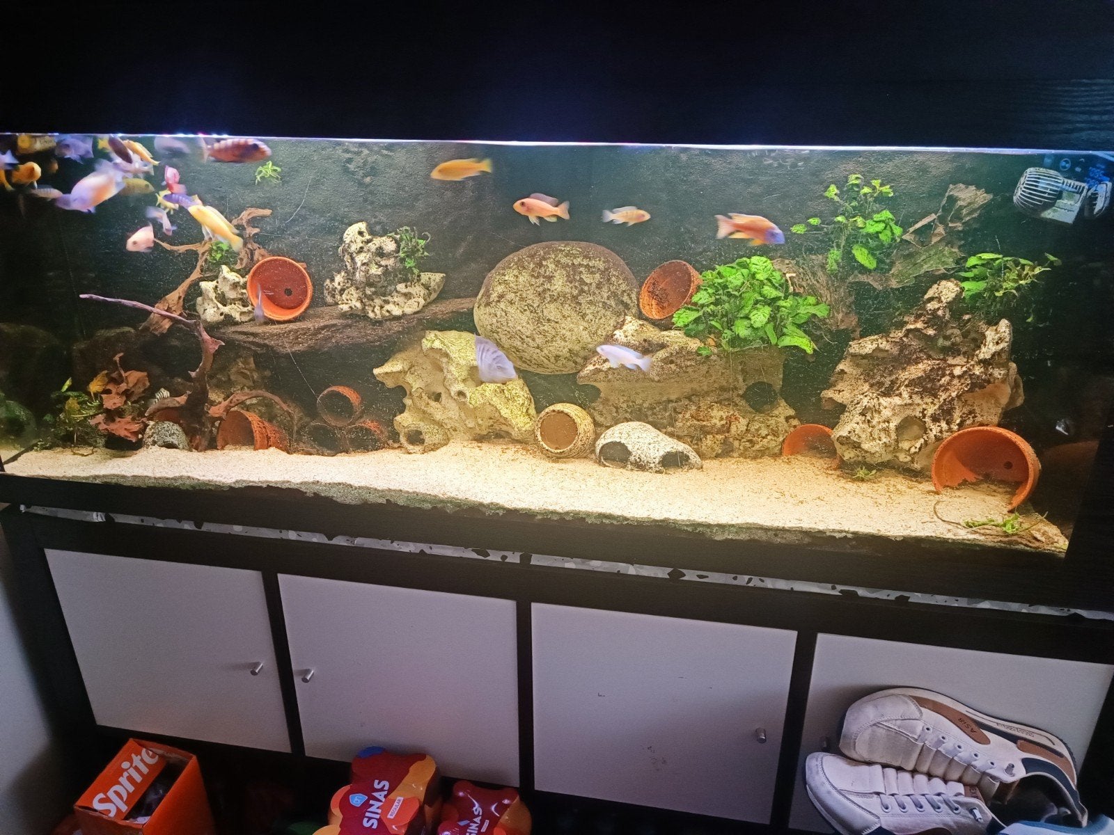 Aquarium 1m50 met inhoud, Enlèvement, Filter