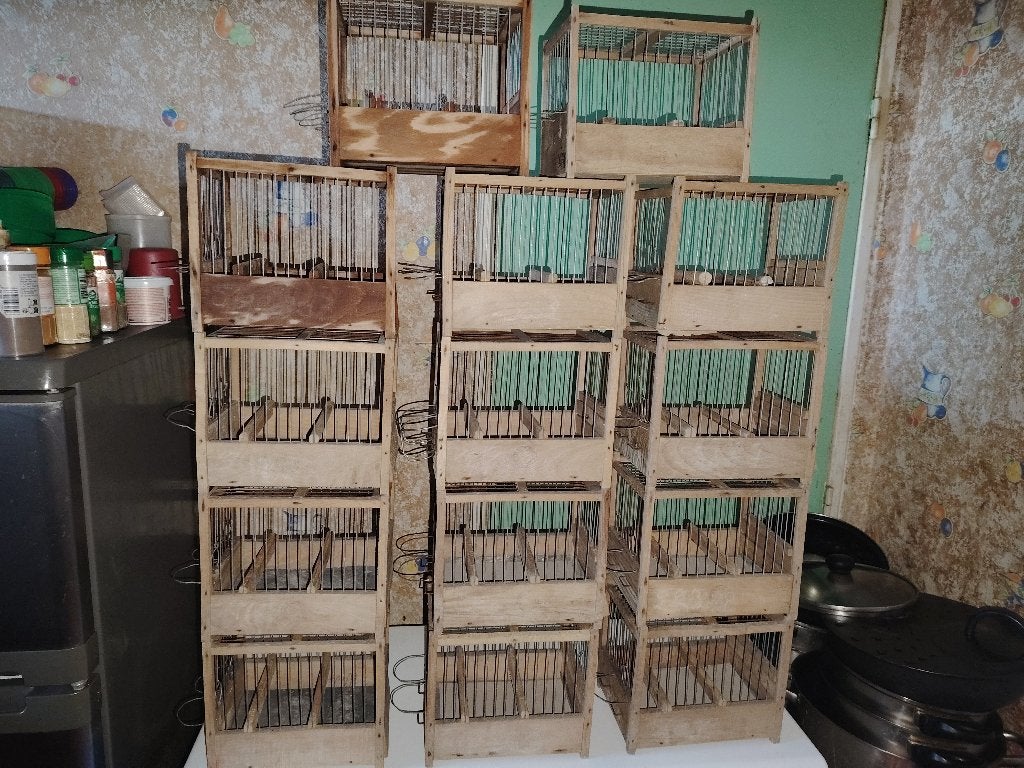 Lot de 14 Cages Concours HARZ, Animaux & Accessoires, Enlèvement, Utilisé, Bois, Cage à oiseaux