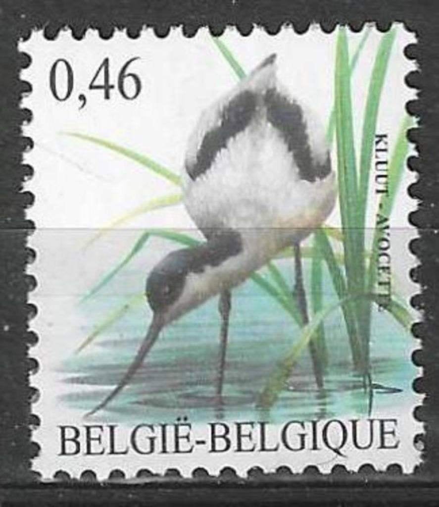 Belgique 2006 - Yvert 3464 /OBP 3479 - Kluut (PF), Timbres & Monnaies, Timbres | Europe | Belgique, Envoi, Non oblitéré, Neuf