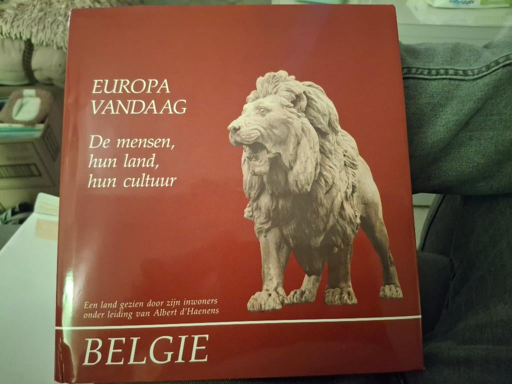 Artis Historia Artis-Historia boeken België Parijs Bourgogne, Ophalen of Verzenden, Zo goed als nieuw, Prentenboek