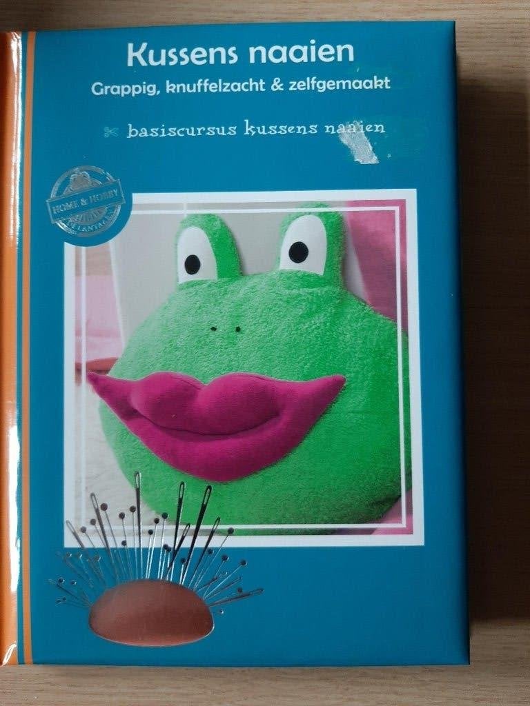 Kussens naaien, Boeken, Hobby en Vrije tijd, Ophalen of Verzenden, Zo goed als nieuw, Borduren en Naaien