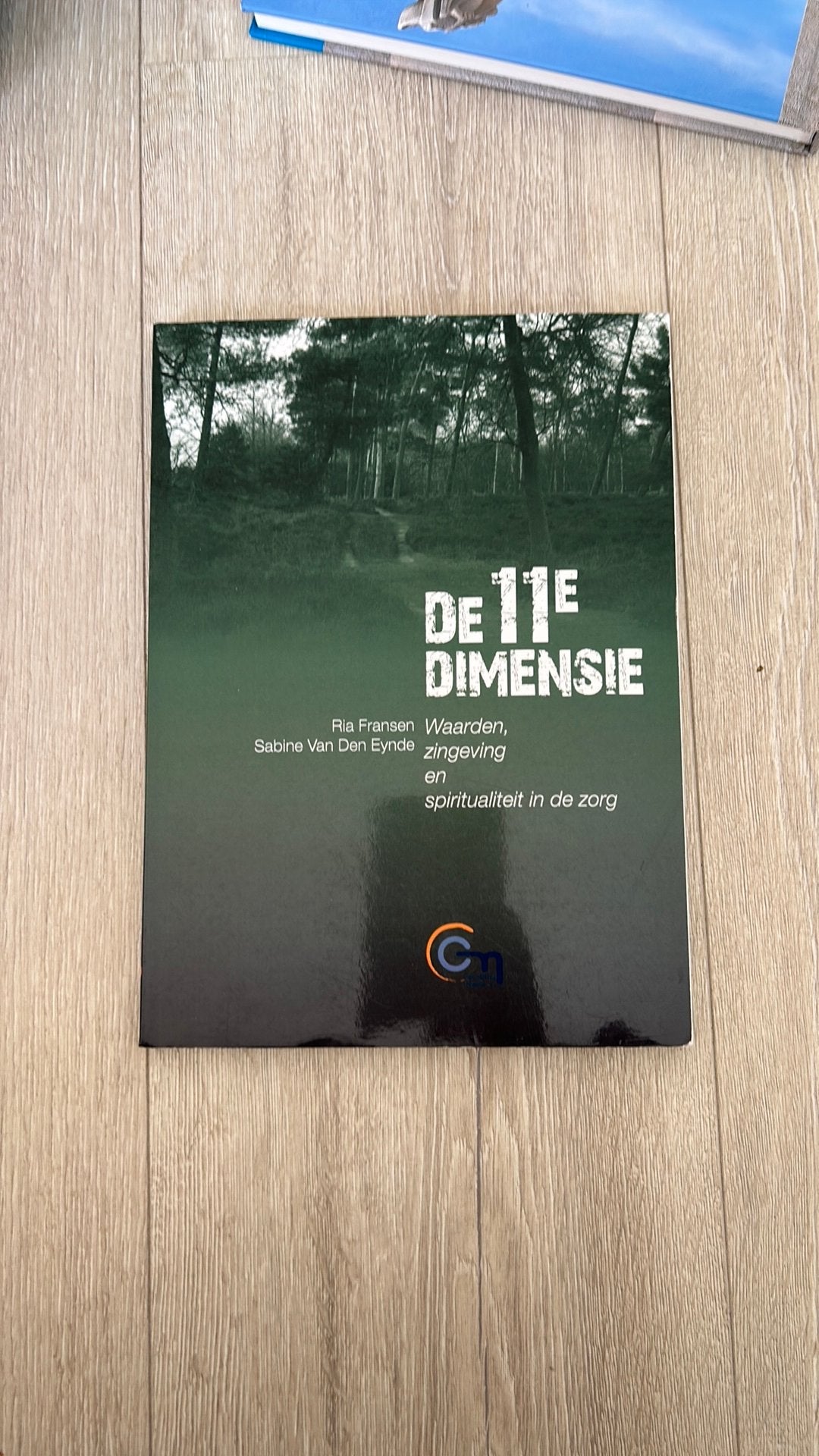 Ria Fransen - La 11e dimension, Livres, Informatique & Ordinateur, Neuf, Enlèvement, Autres sujets/thèmes, Ria Fransen; Sabine van den Eynde