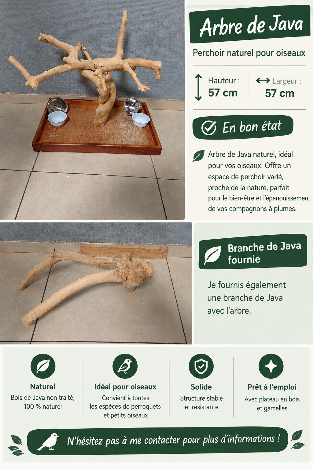 arbre de java, Animaux & Accessoires, Reptiles & Amphibiens | Accessoires, Enlèvement ou Envoi