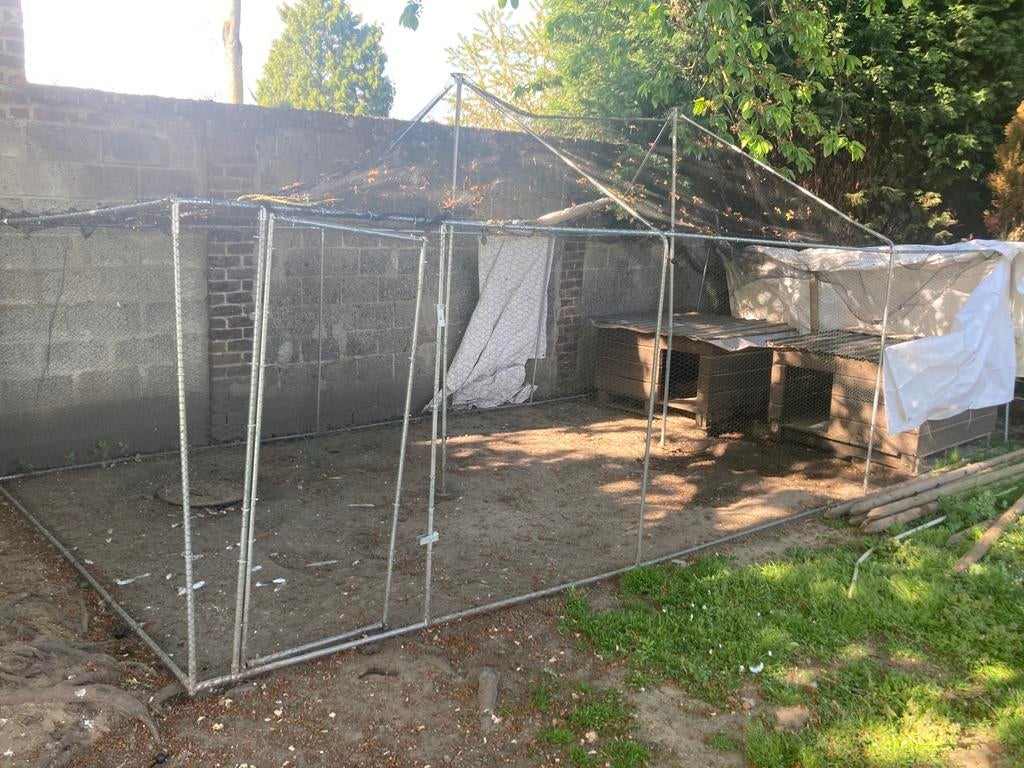 Grote met gaas overdekte kippenren, Dieren en Toebehoren