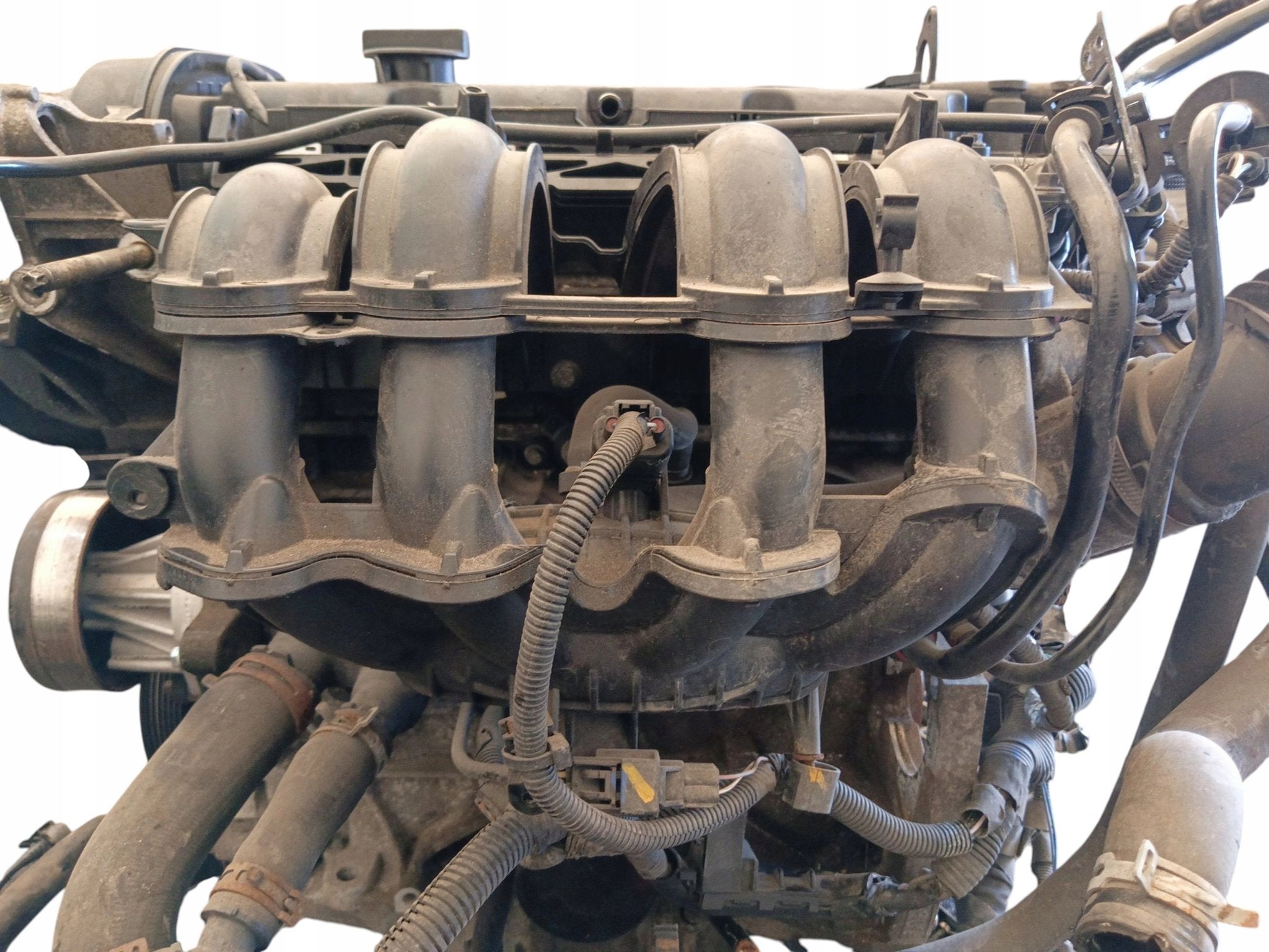 Moteur STJB Complet FIESTA FORD, Envoi, Utilisé, Skoda