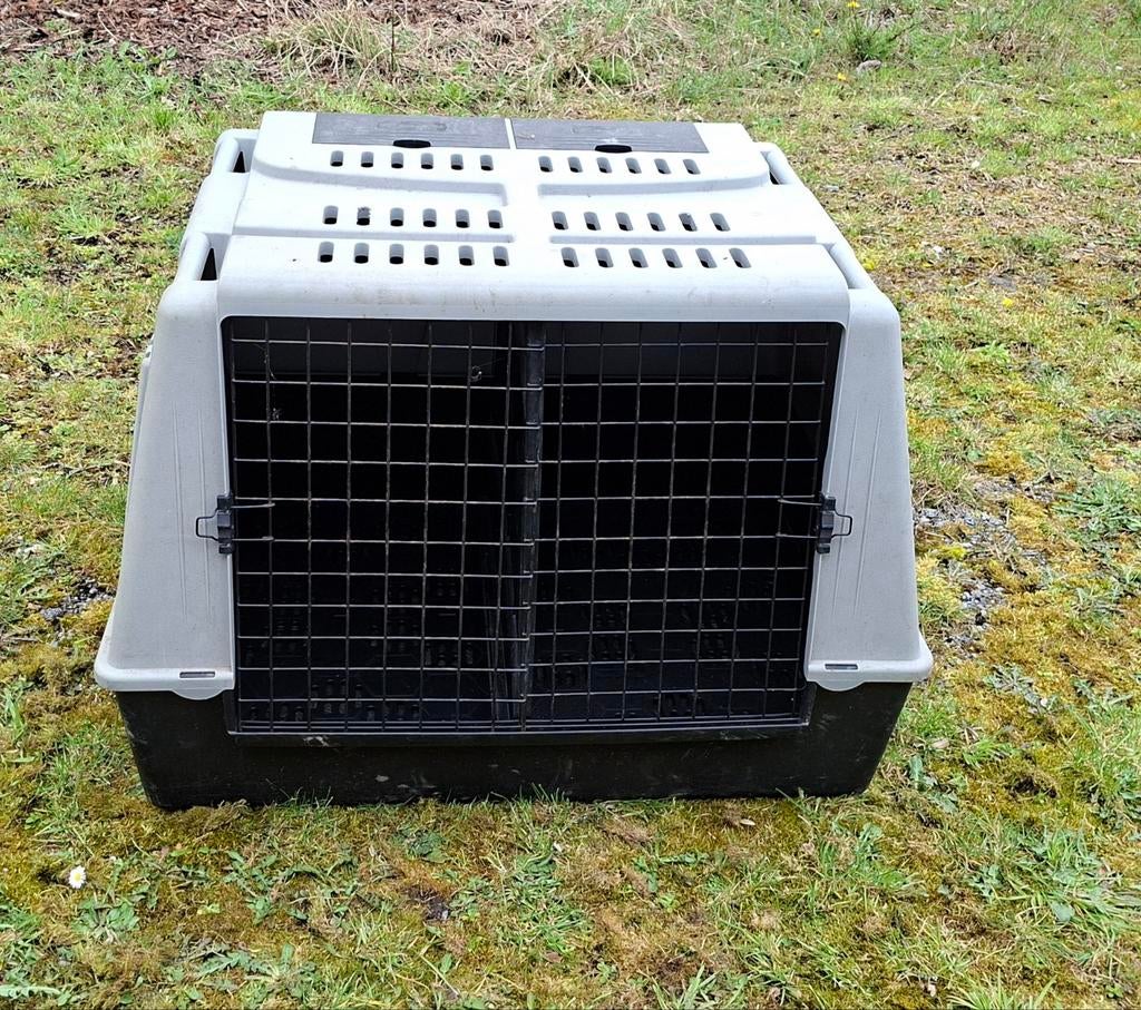 Cage de transport pour chiens, Enlèvement