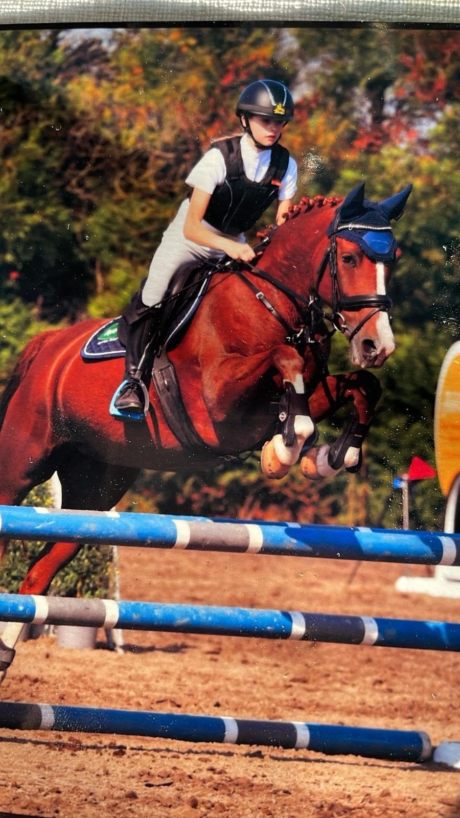Gouden allround D-pony te koop, Jument, Z, Avec pedigree, 11 ans ou plus