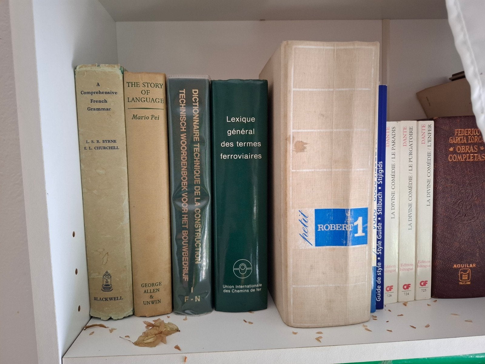 Divers dictionnaires de langue, Enlèvement