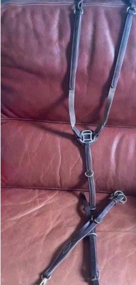 Collier de chasse et martingale Pessoa brun t:full/chev, Dieren en Toebehoren, Ophalen of Verzenden, Pessoa, Borsttuig, Full