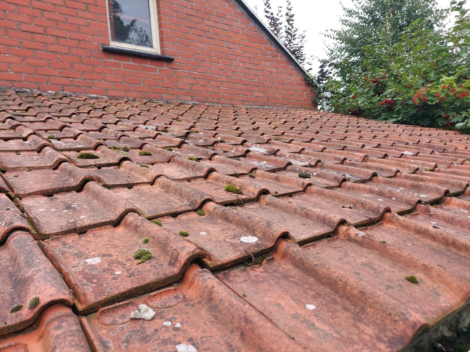 Tuiles de toit (+/- 15 m²), Bricolage & Construction, Enlèvement, Tuiles