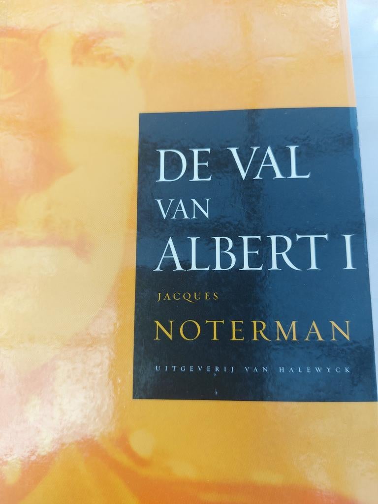 De val van Albert I door Jacques Noterman, Livres, Histoire nationale, Enlèvement