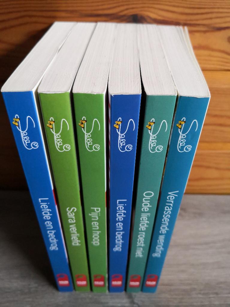Mijn dagboek Sara uit te kiezen delen 20,22,25,32,35, Enlèvement