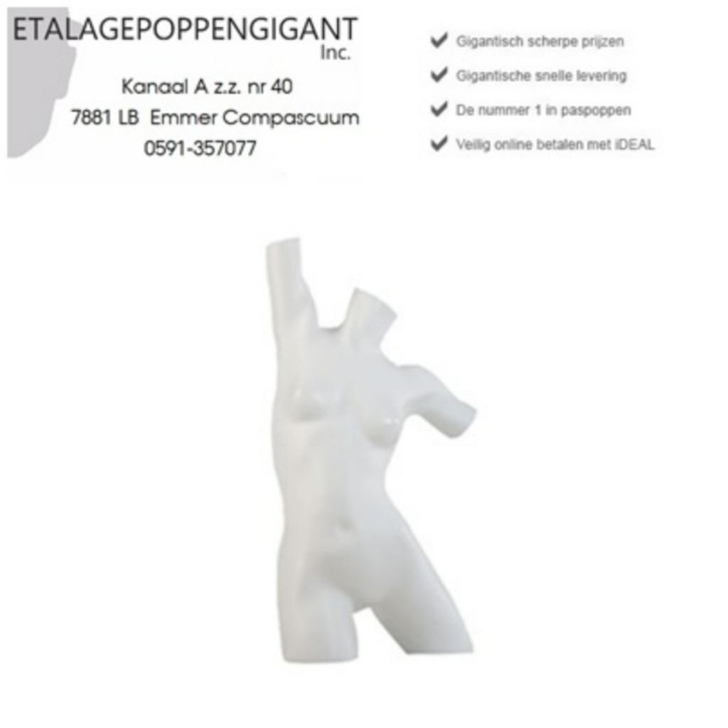 Dames Torso Model Badmode - Lingerie - Sportmode EPG, Neuf, Enlèvement ou Envoi, Autres types, Blanc