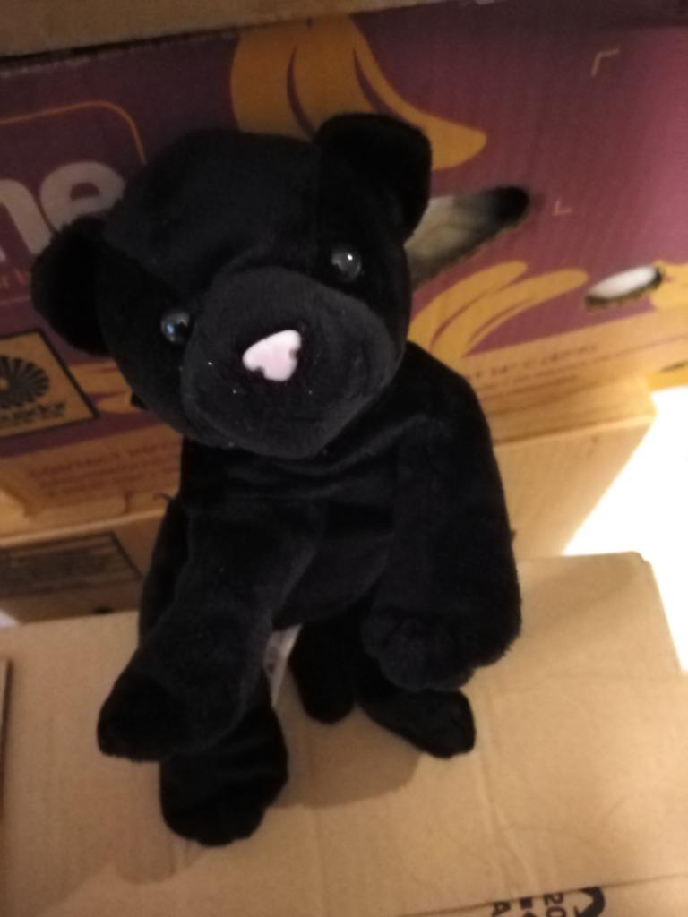 knuffel nicotoy zwarte panter (doos nicotoy 2024), Ophalen, Nieuw