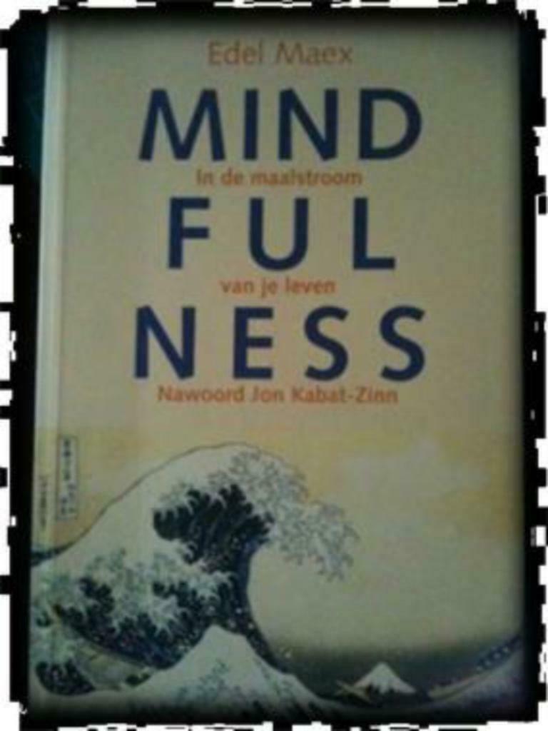Mindfulness, Edel Maex, Boeken, Ophalen, Gelezen