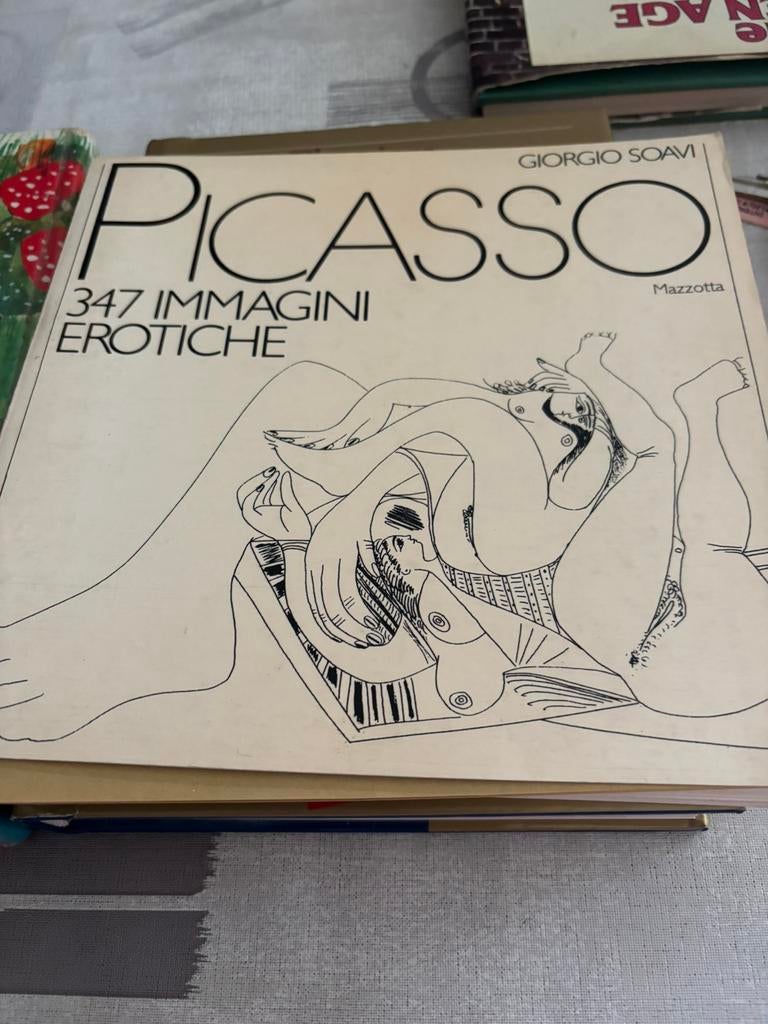 Boek Picasso, Antiek en Kunst, Ophalen