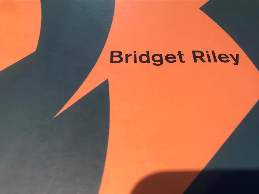 Bridget Riley Paintings 90pag, Zo goed als nieuw, Schilder- en Tekenkunst