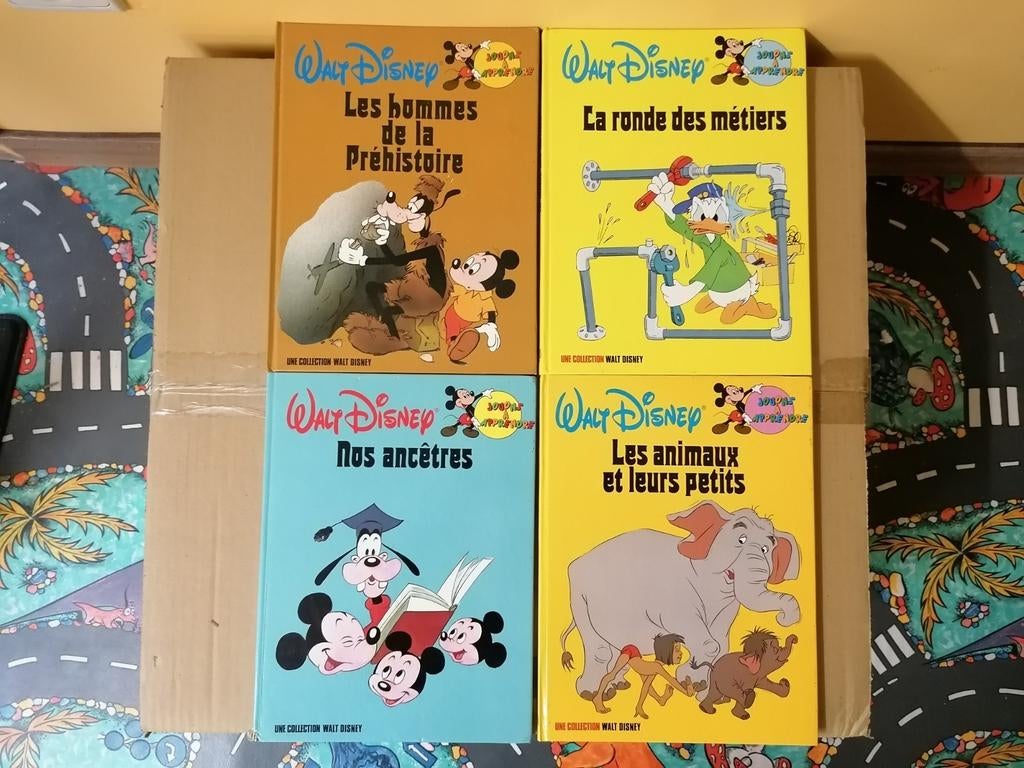 4 livres Disney, Livres, Enlèvement ou Envoi, Comme neuf