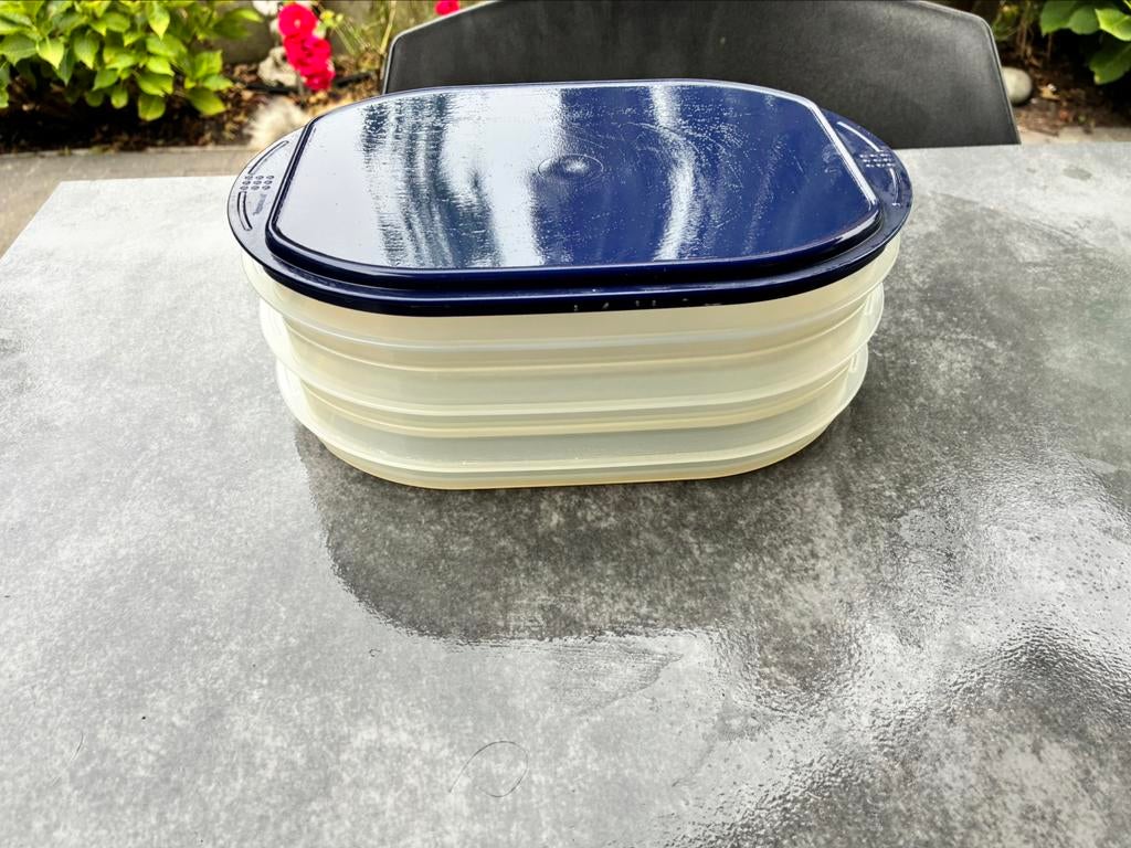 Tupperware charcuterie dozen, Enlèvement, Utilisé