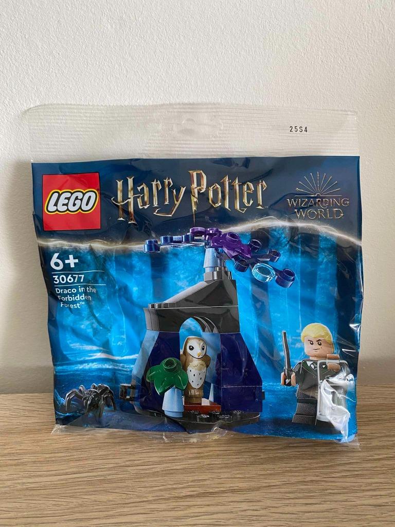 Lego polybag Draco in the Forbidden forest - nieuw, Kinderen en Baby's, Speelgoed | Duplo en Lego, Ophalen of Verzenden, Nieuw