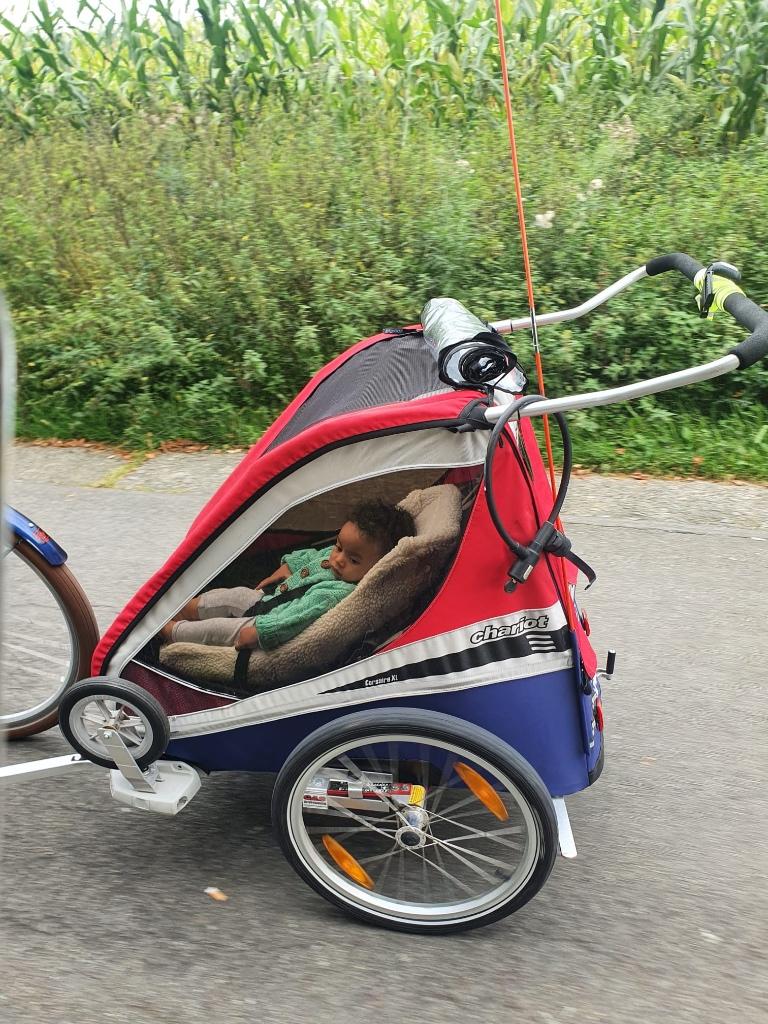 Siège bébé pour remorque à vélo, Enlèvement, Comme neuf, 0 à 10 kg, Siège arrière