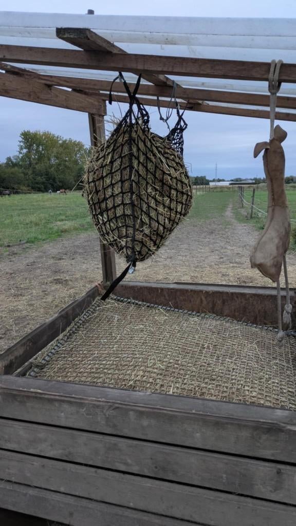 Plek vrij op opstartende paddock paradise te Reet, Dieren en Toebehoren, Weidegang, 4 paarden of pony's of meer