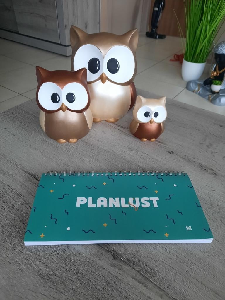 Planner Klasse, Ophalen of Verzenden