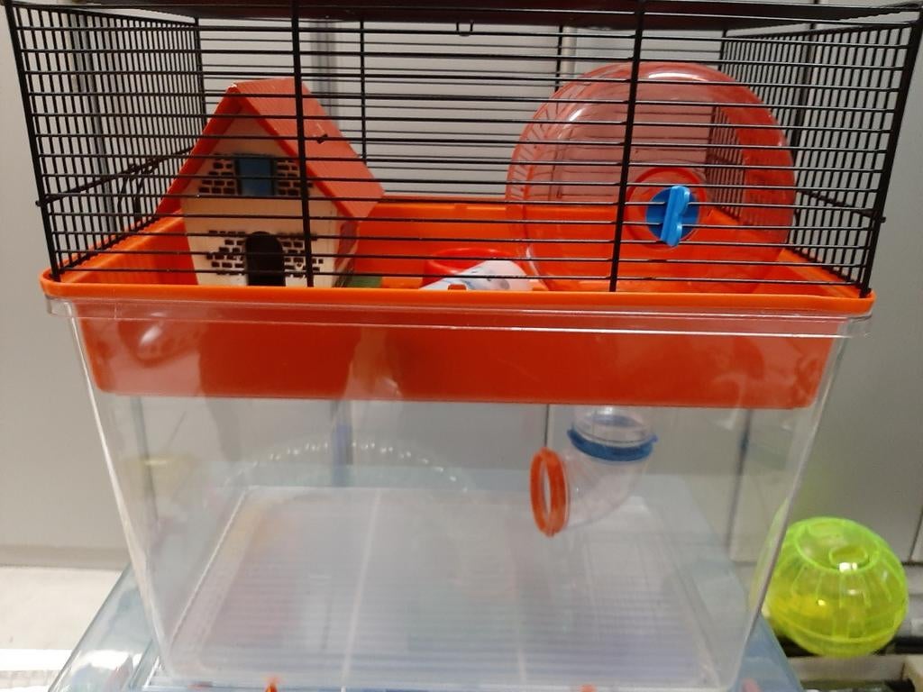 Kooi voor kleine knaagdieren, Dieren en Toebehoren, Ophalen of Verzenden, Zo goed als nieuw, Kooi