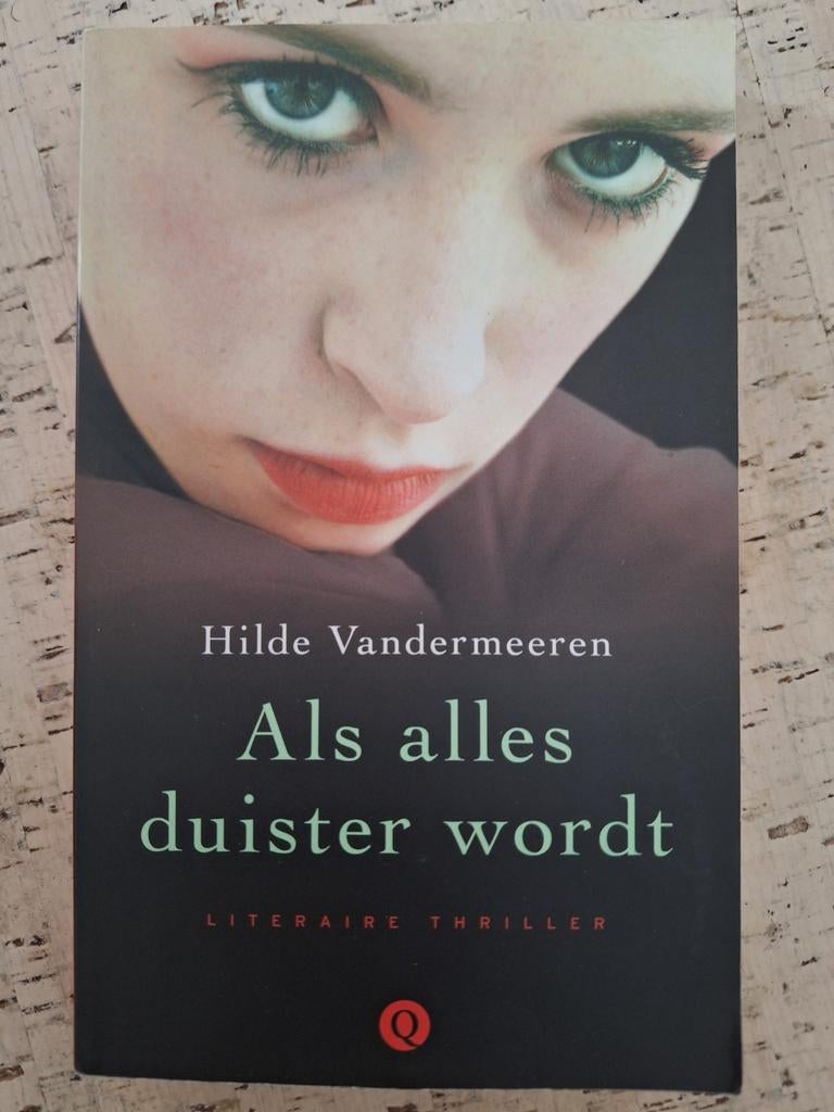 Hilde Vandermeeren - Als alles duister wordt, Ophalen of Verzenden, Zo goed als nieuw, Hilde Vandermeeren