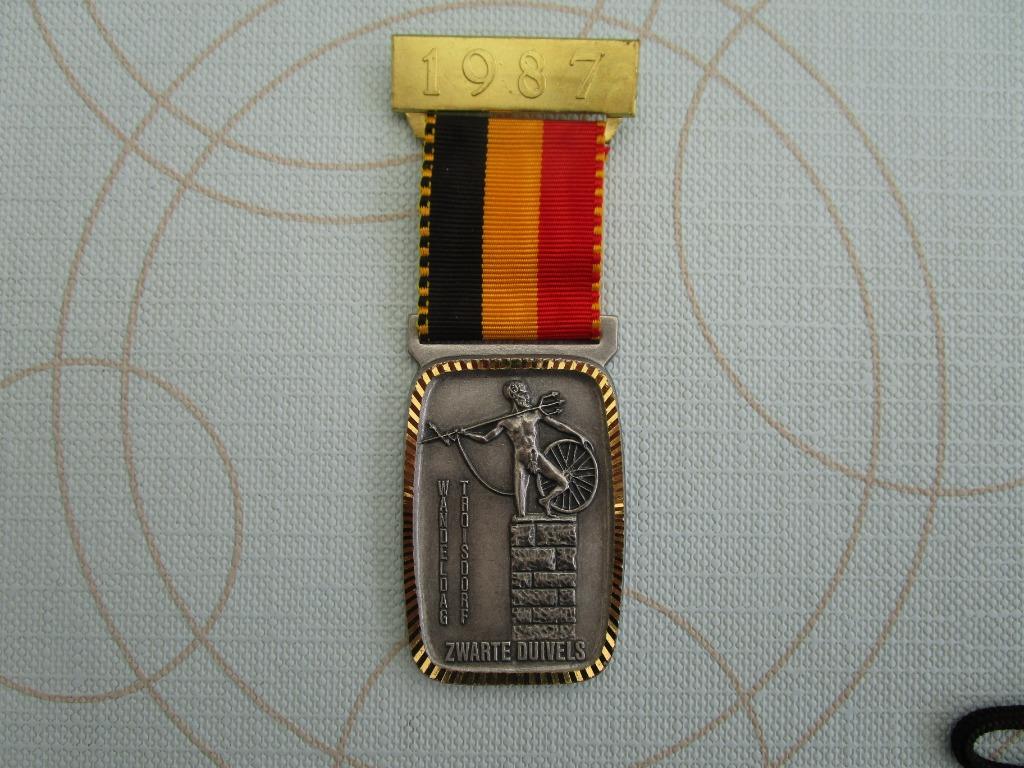 militair, medaille zwarte duivels, Verzamelen, Militaria | Algemeen, Ophalen, Landmacht, Lintje, Medaille of Wings